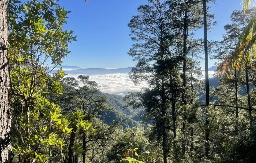 Celaque National Park, Near Gracias, Lempira, Honduras